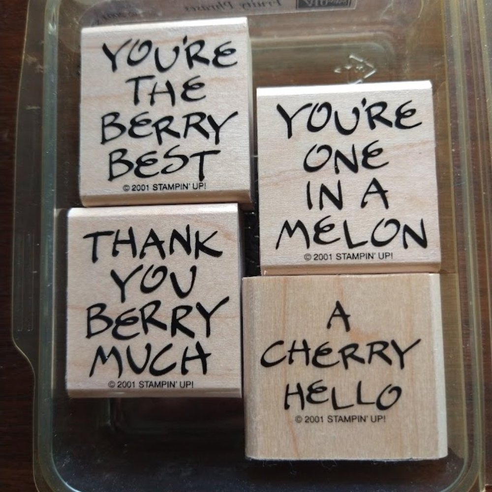 STAMPIN' UP 2 SETS